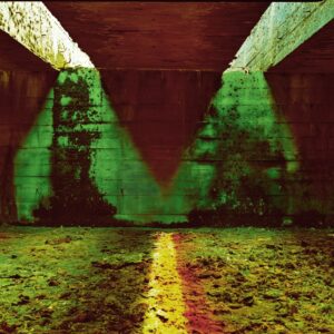 Ann Garde "The Scarlet Room" exhibition