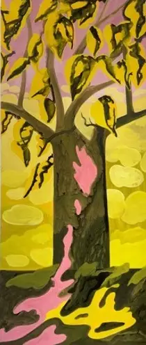 "Mûrier aux oiseaux"