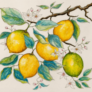 "The Lemons