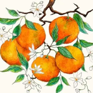 "Les Oranges"
