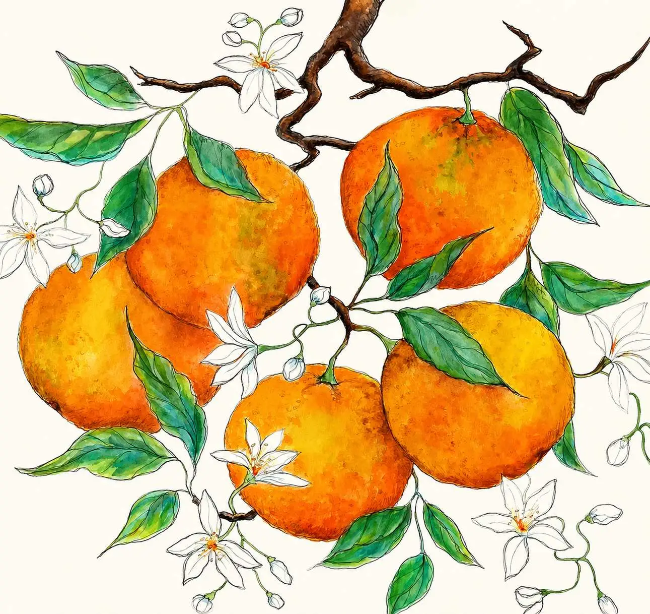 "Les Oranges"