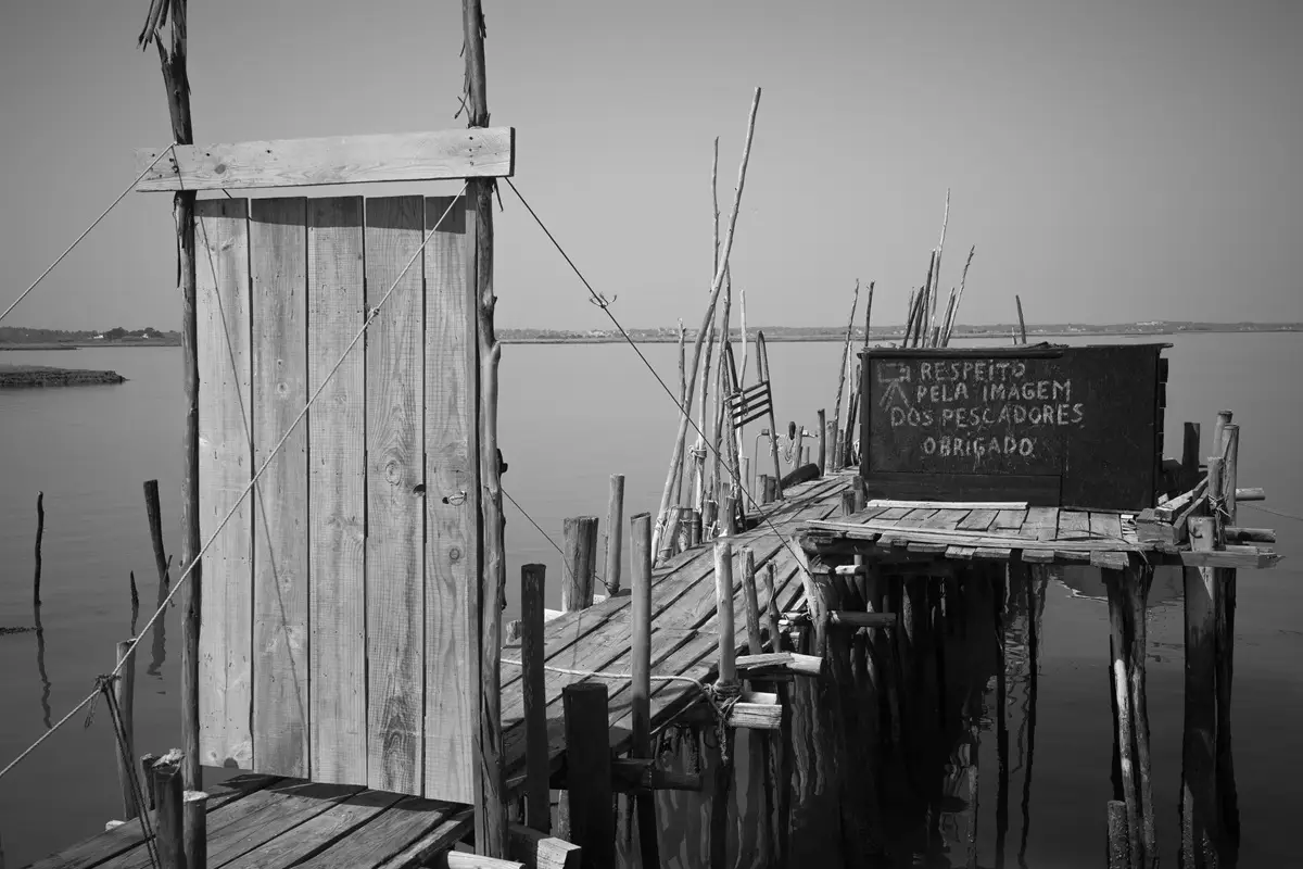 "Pesca I," Comporta, Portugal, 2026